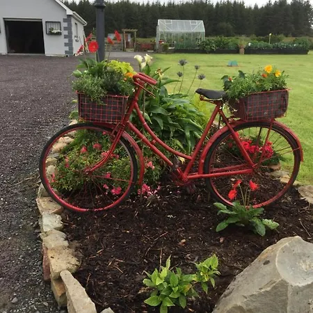 Lyntom House Bed & Breakfast Limerick