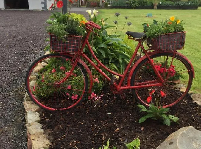 Lyntom House Frühstückspension Limerick Junction